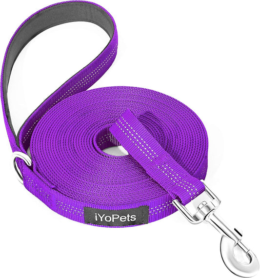 Long Dog Leash for Obedience Recall Training - Great for Training, Play, Camping, or Backyard (20FT, Pink Heart)
