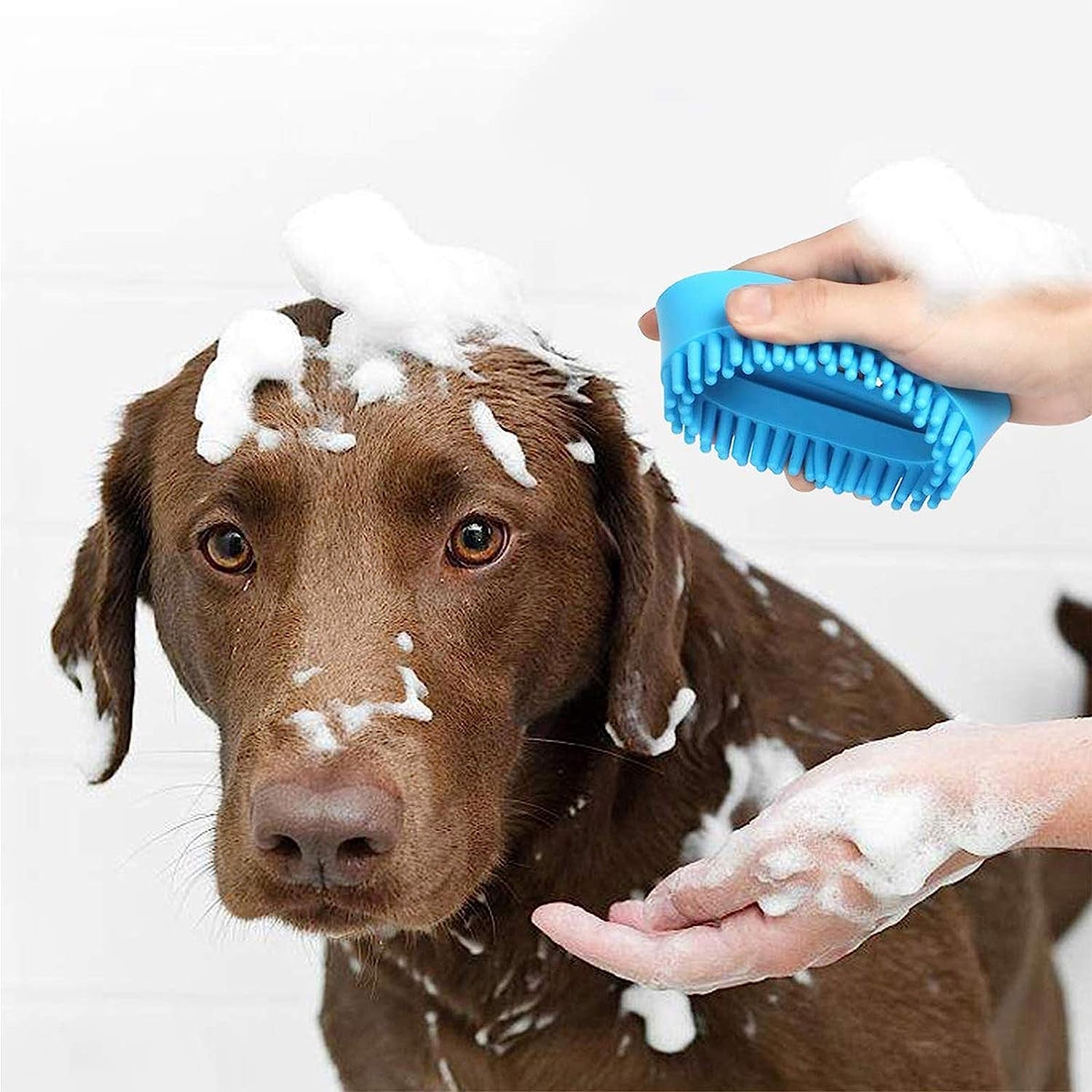 Large 2 in 1 Dog Grooming and Paw Cleaning Brush for Big Dogs and Cats (No.D941034)