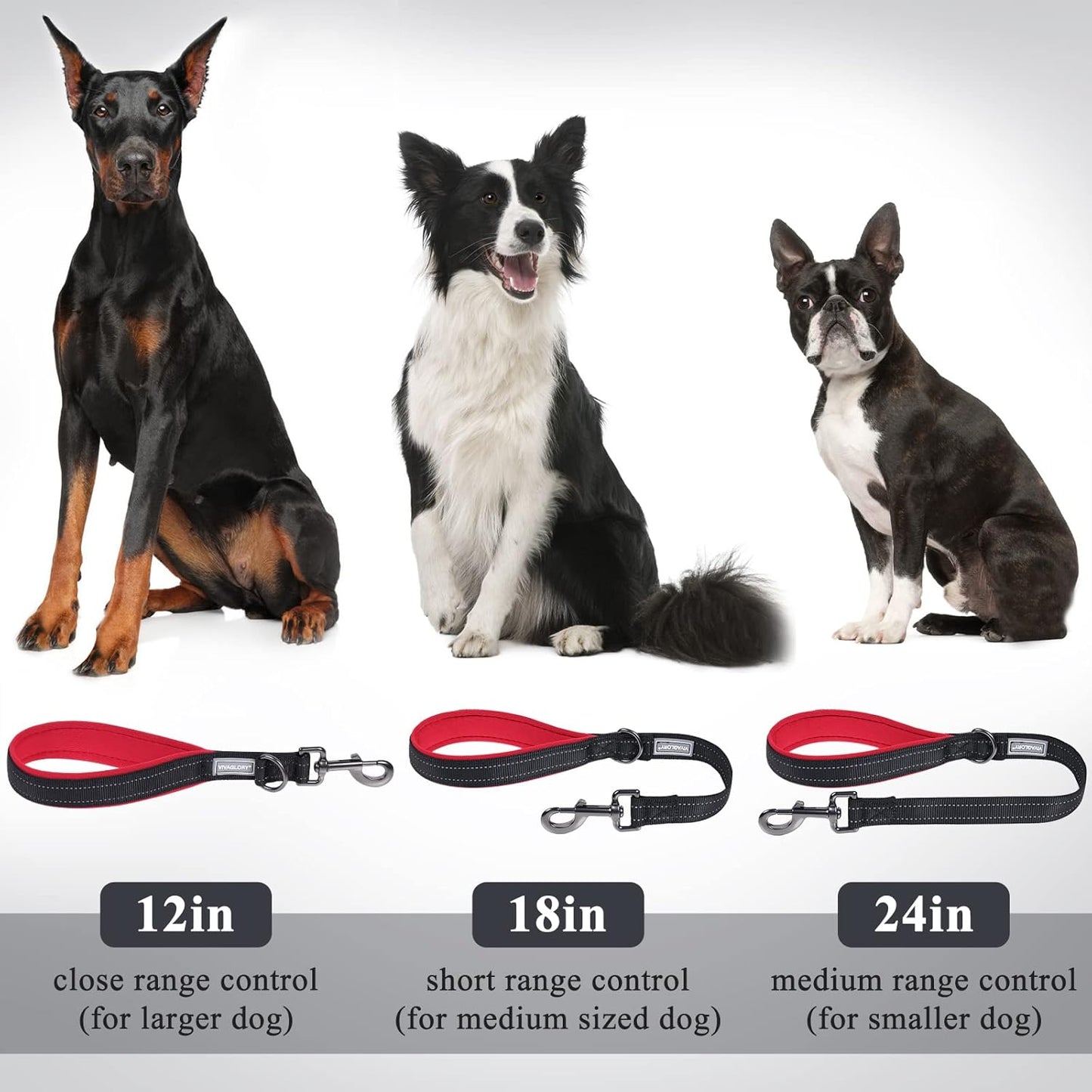 Short Dog Leash Closelyt Traffic Leash for Dog with Soft Padded Handle for Training & Walking, Padded Neoprene & Heavy Duty, 30Inch, Black/Red