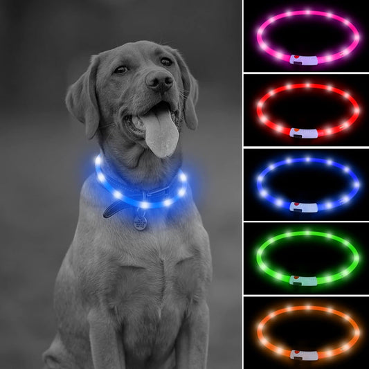 LED Dog Necklace Light, USB Rechargeable Light up Dog Collar, Flash LED Dog Collar for Your Dogs Camping (Blue-Silicone)