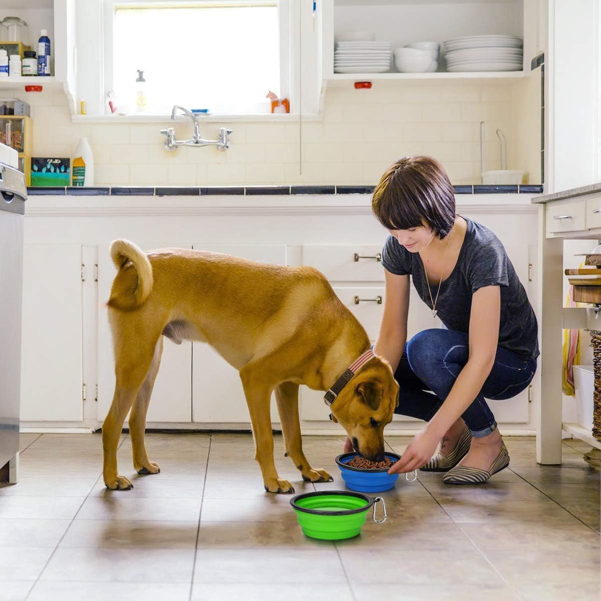 Large Collapsible Dog Bowls 2 Pack, 34Oz Foldable Dog Travel Bowl, Portable Pet Water Food Bowl with Clasp, Pet Cat Feeding Cup Dish for Traveling, Walking, Hiking (Blue+Green)