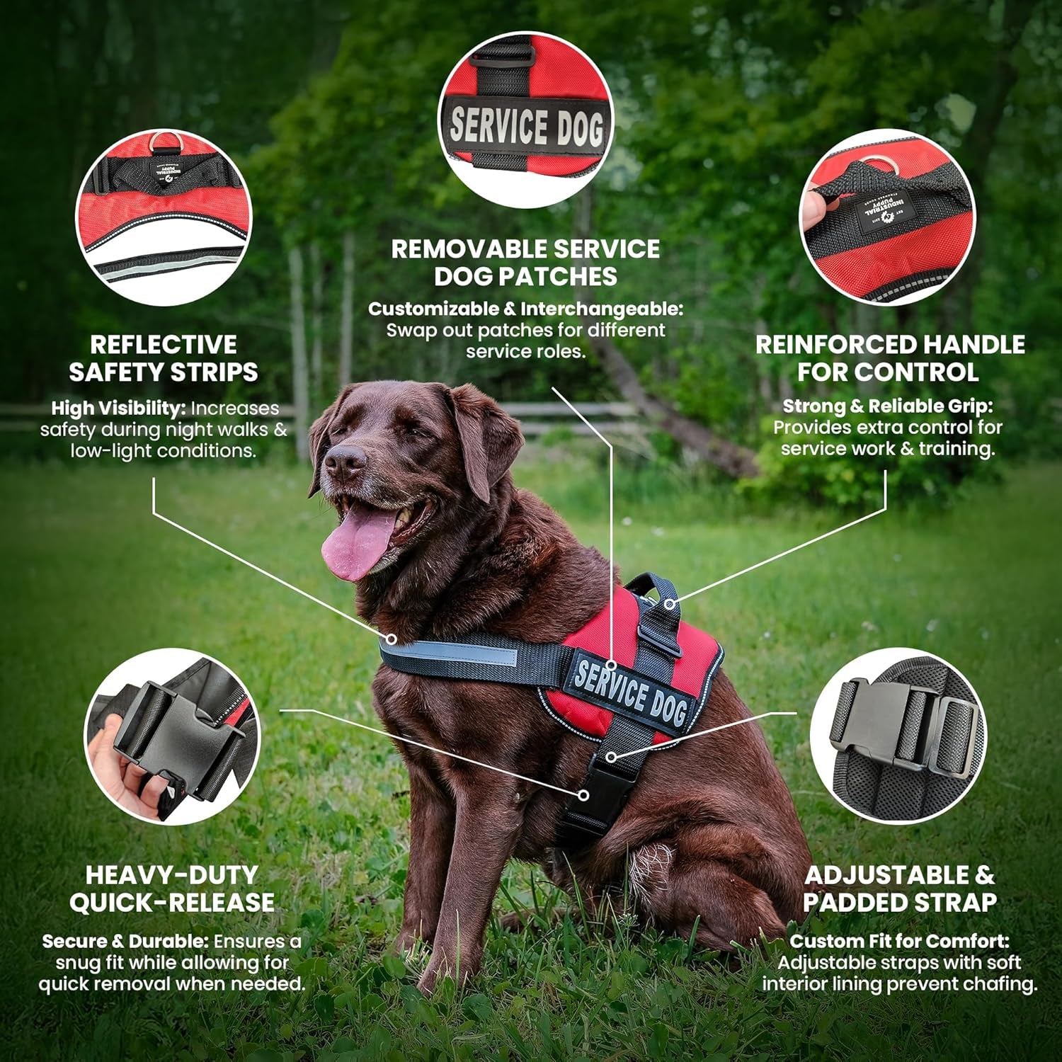 Service Dog in Training Vest with Hook and Loop Straps and Handle - Harnesses in Sizes from XXS to XXL - Service Dog Vest Harness Features Reflective Patch and Comfortable Mesh Design