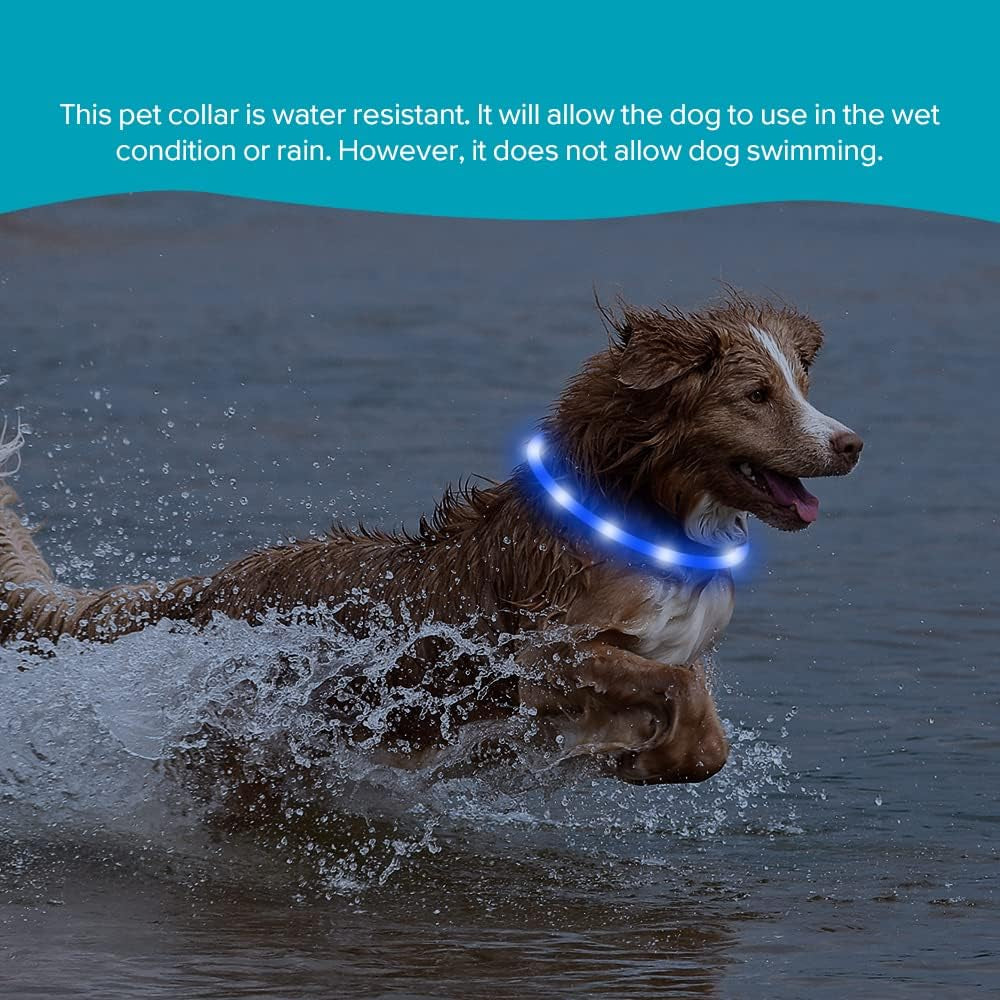 LED Dog Necklace Light, USB Rechargeable Light up Dog Collar, Flash LED Dog Collar for Your Dogs Camping (Blue-Silicone)