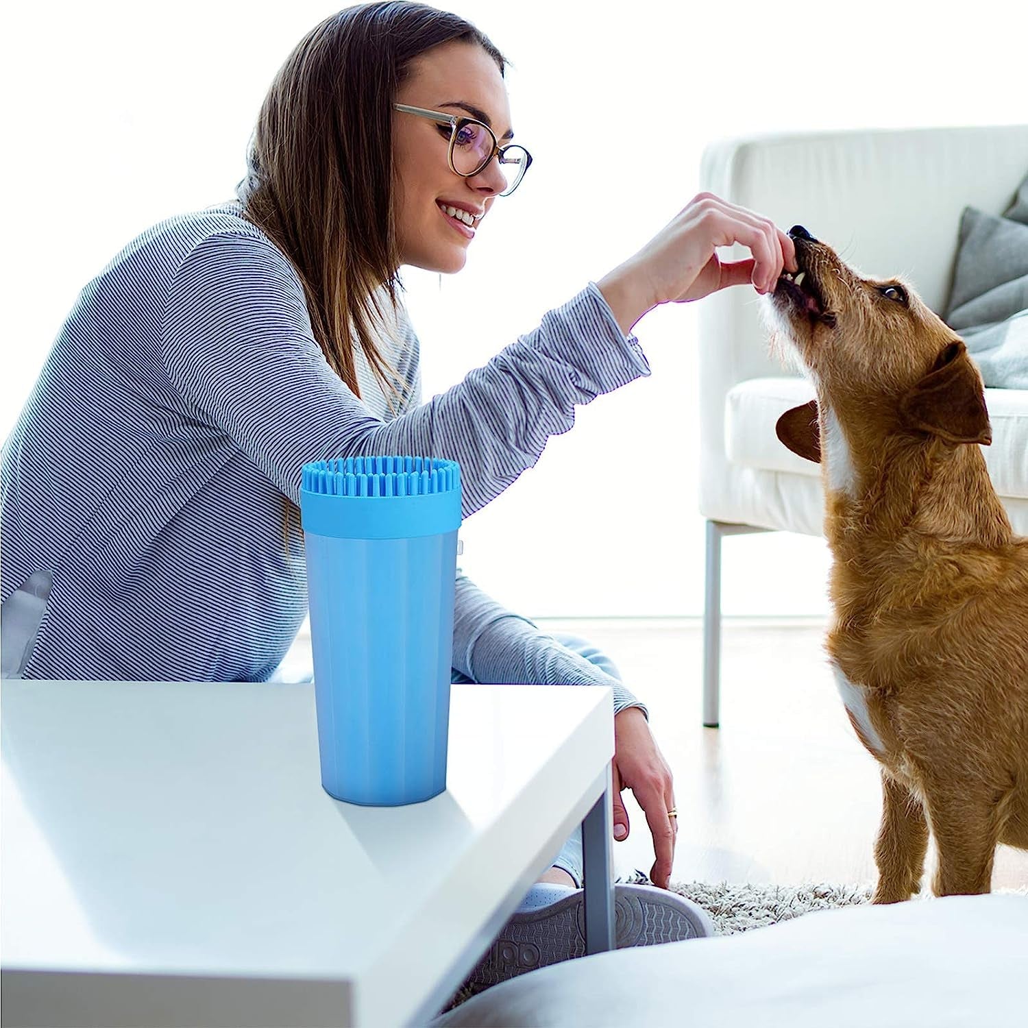 Large 2 in 1 Dog Grooming and Paw Cleaning Brush for Big Dogs and Cats (No.D941034)