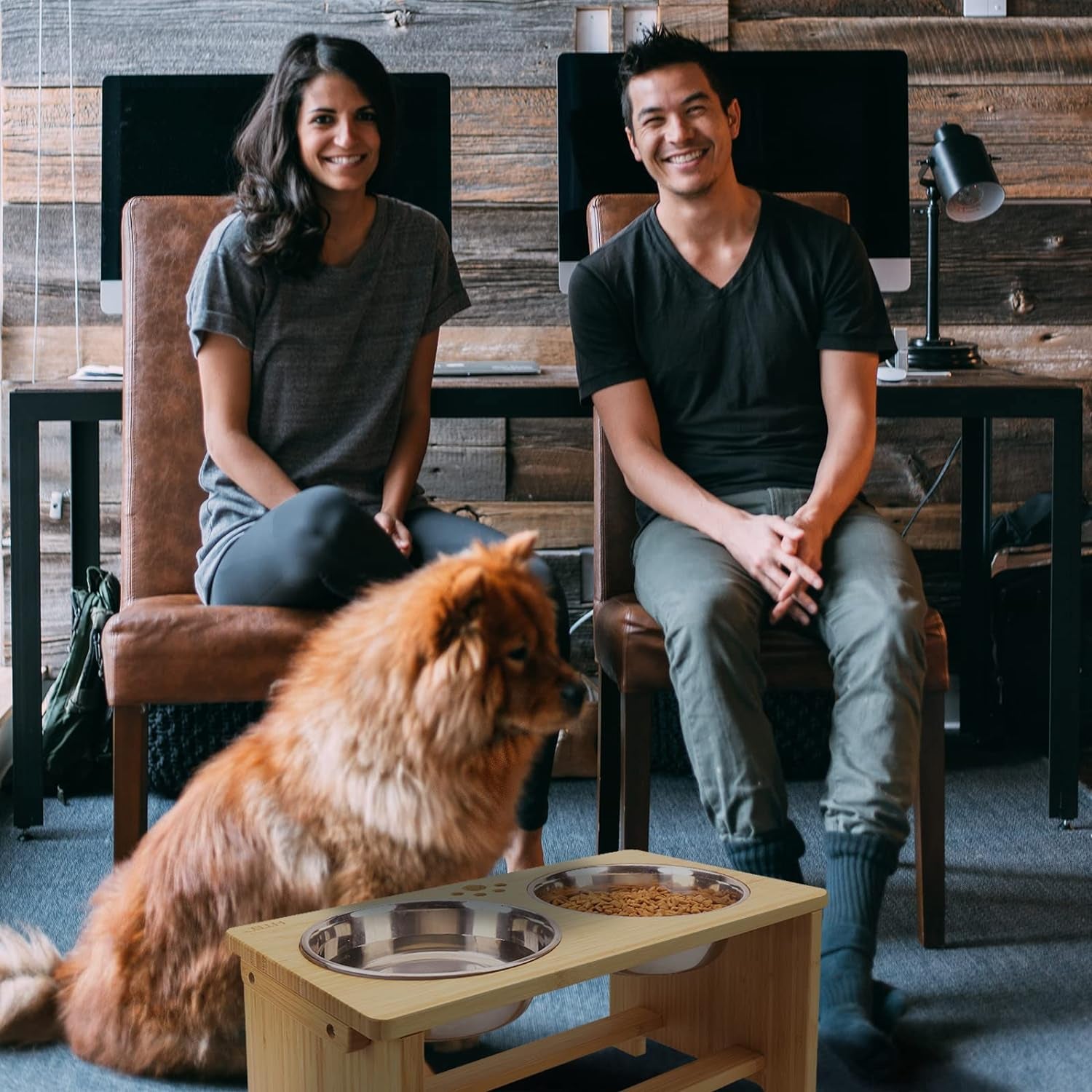 Elevated Dog Bowls,Raised Dog Bowl Stand with 2 Stainless Steel Bowls,Elevated Raised Dog Bowls for Large Medium Small Sized Dogs