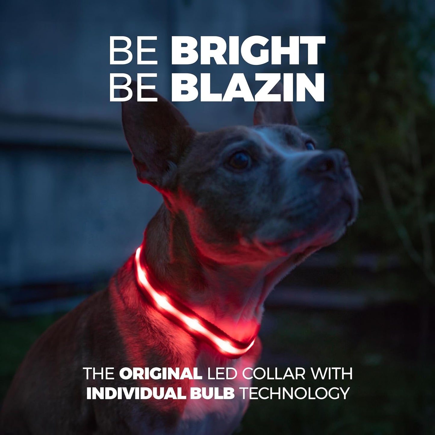 Light up Dog Collar - the Original LED Dog Collar - USB Rechargeable - Waterproof - 1,000 Feet of Visibility - Dog Collar Light for Small, Medium, Large Dogs - US Brand