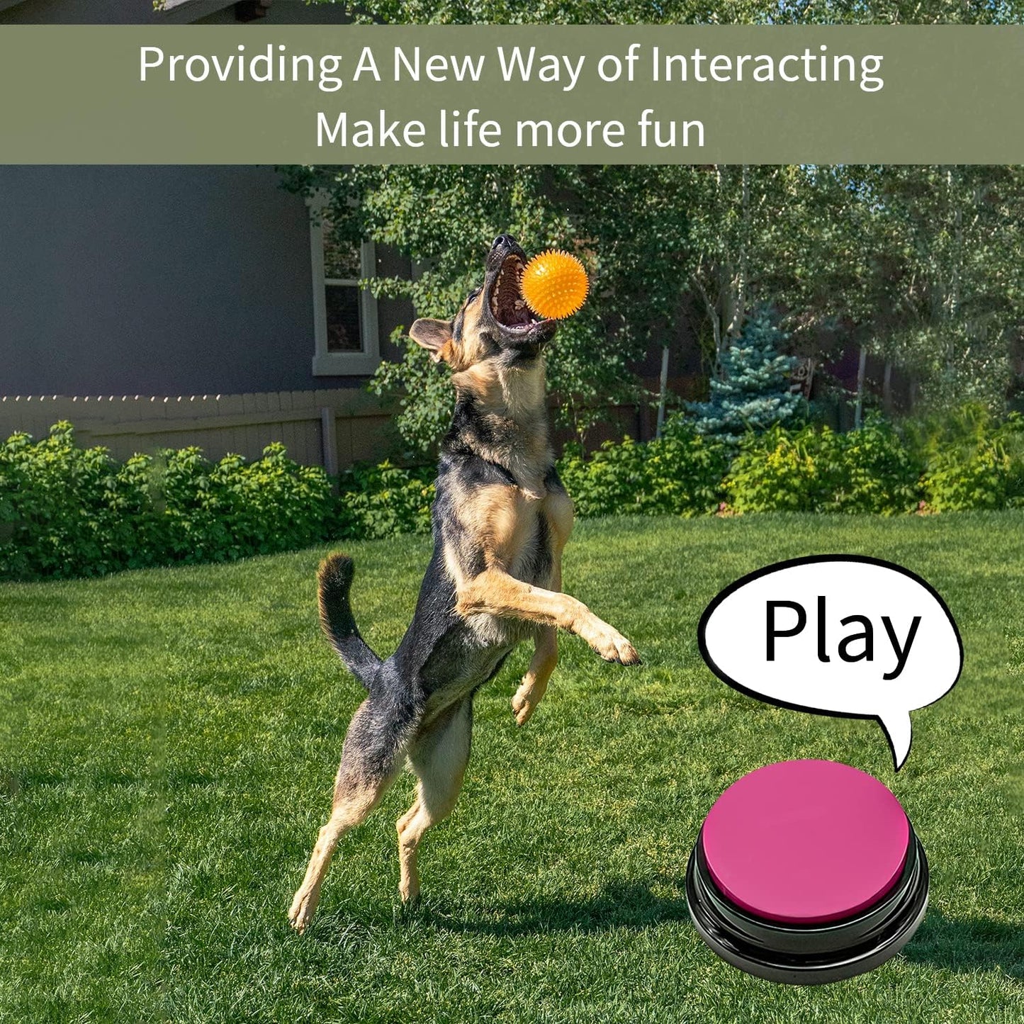 Pet Training Button, Dog Voice Training Buzzer, Dog Button, Dog Button for Communication Recordable Buttons - Train Your Dog to Say the Sounds They Need to Say! (8 Buttons)