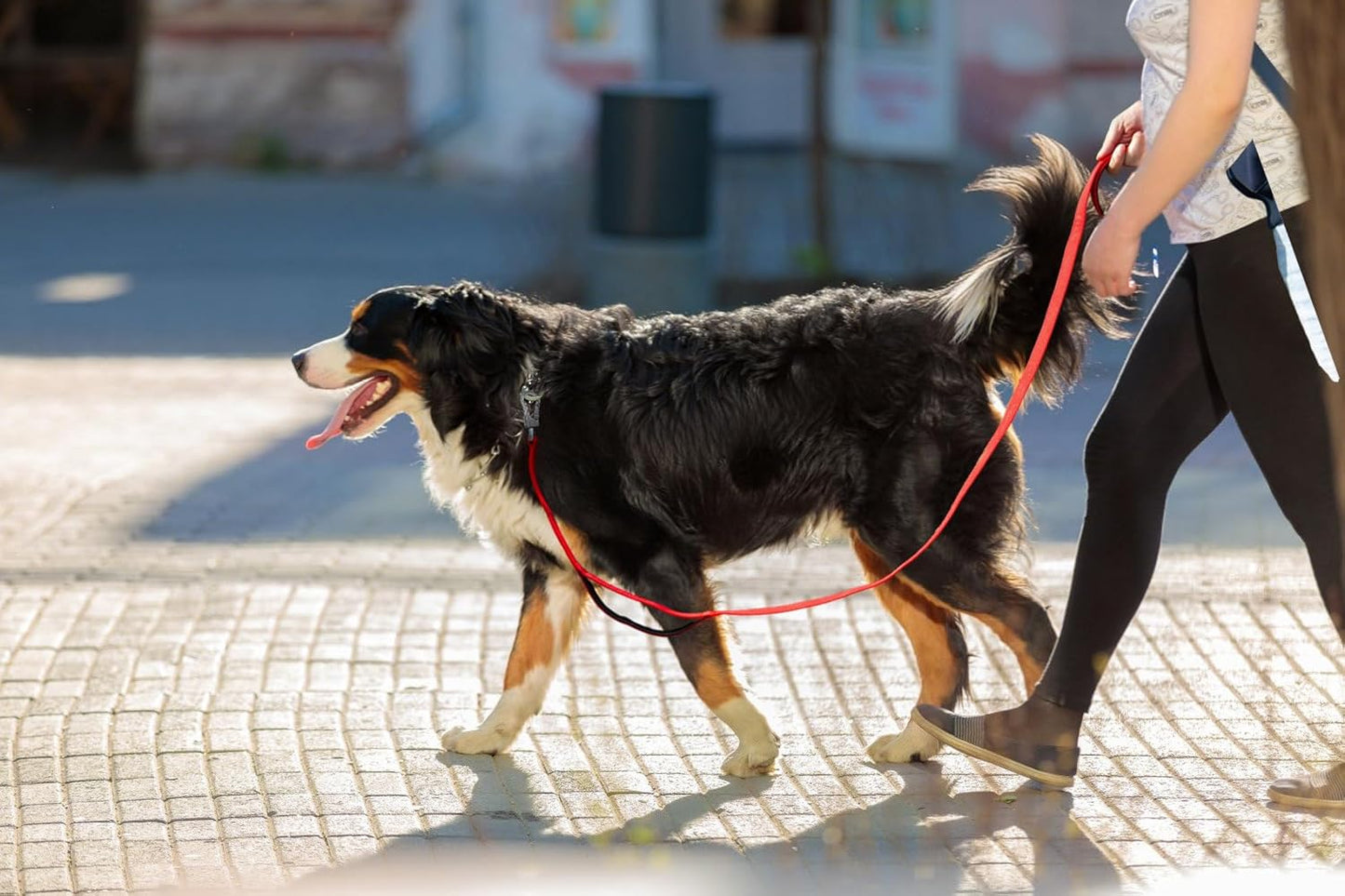 4FT 1IN Strong Red Dog Leash with 2 Padded Handles, Traffic Handle Extra Control, Comfortable Soft Dual Handle, Auto Lock Hook, Reflective Walking Lead for Small Medium and Large Dogs