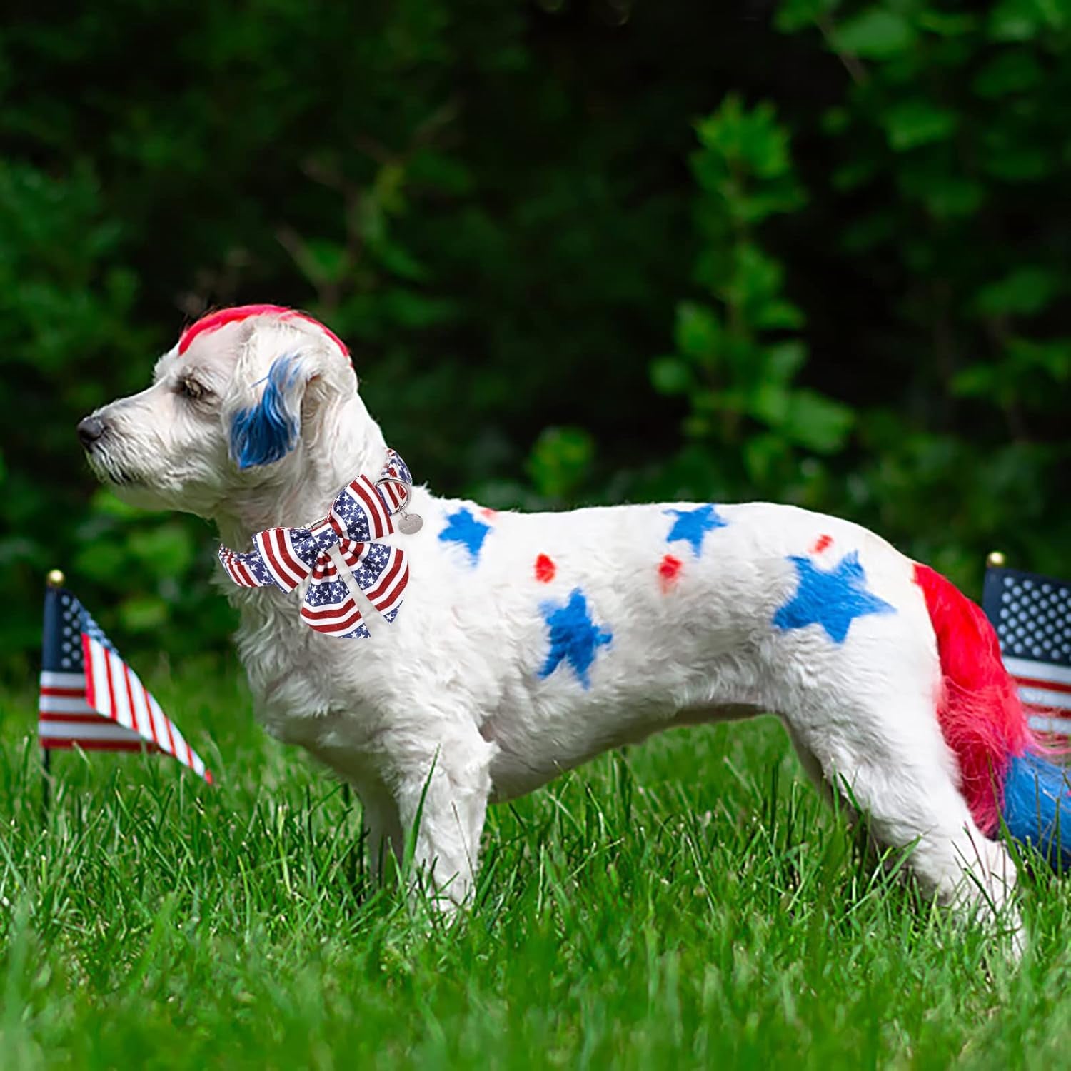 Patriotic Dog Collar with Bow Tie, 4Th of July Bowtie Dog Collar, American Flag Collar for Medium Boy Girl Dog, Comfortable Summer Bowtie Collar with Metal Buckle, M